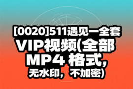 [0020]511遇见一全套VIP视频(全部MP4格式，无水印，不加密)