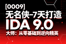 [0009]无名侠一7天打造 IDA 9.0 大师：从零基础到逆向精英