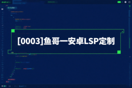 [0003]鱼哥一安卓LSP定制_resized.png